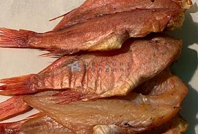 Окунь морской х/к